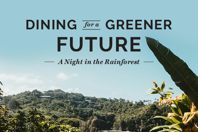 Dining for a Greener Future: A Night in the Rainforest