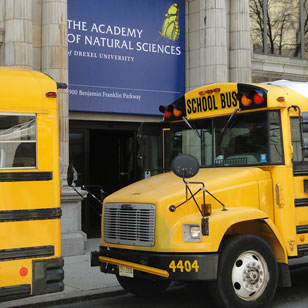 school buses parked next to the Academy