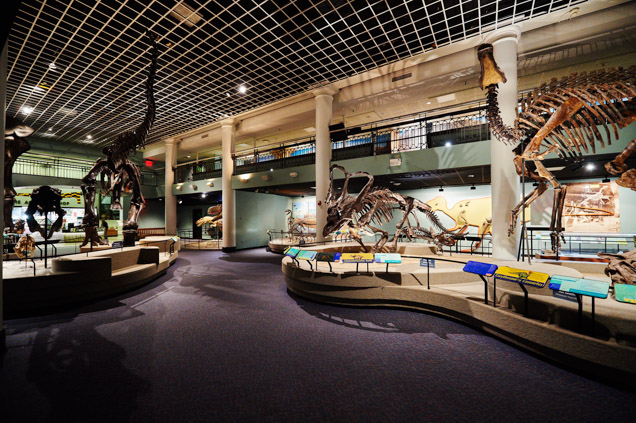 dinosaur hall