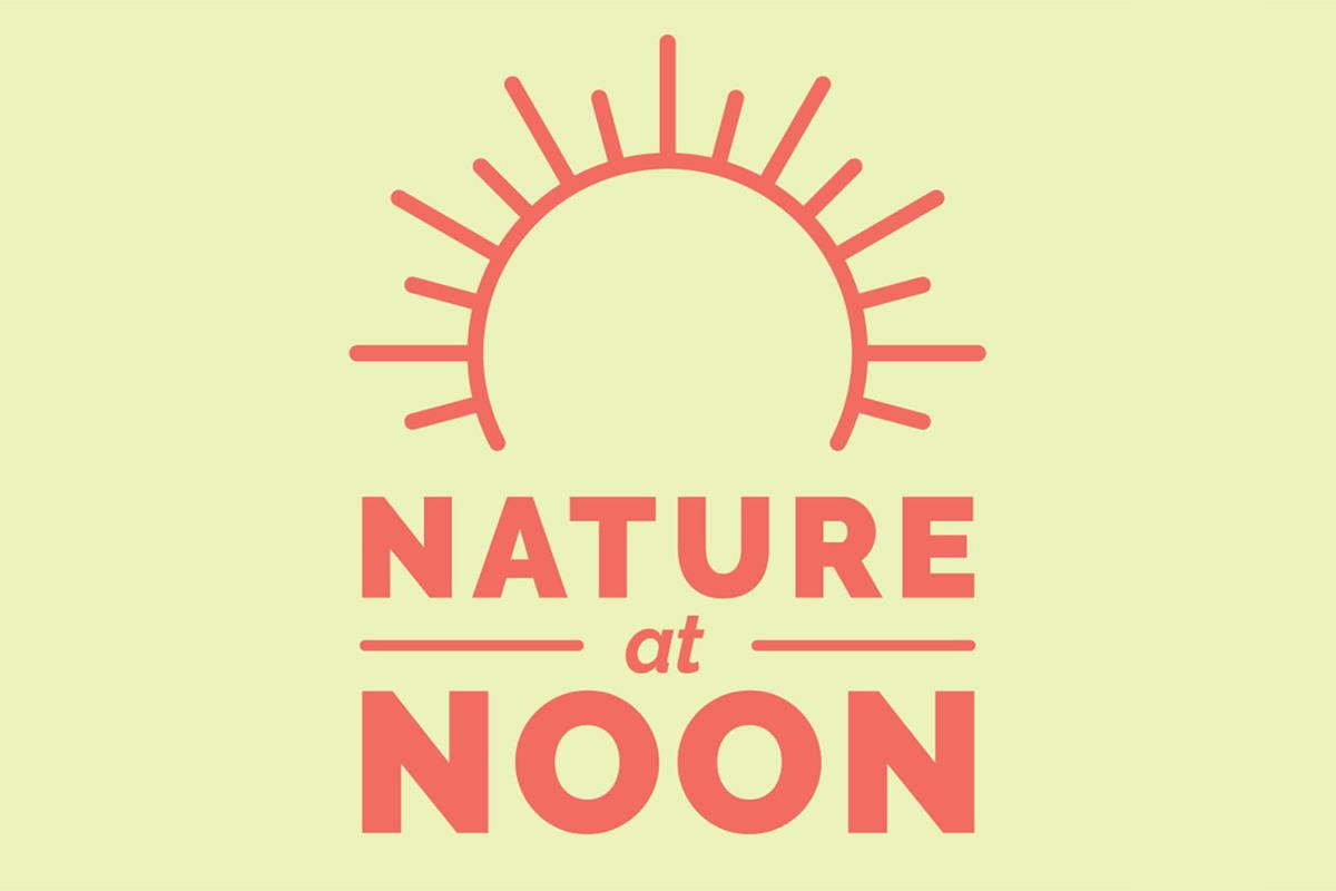 Nature At Noon