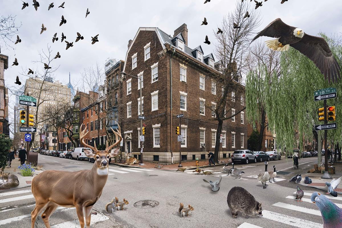 Spotlight Gallery: Neighborhood Naturalists