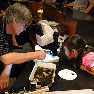 scientist and girl check out insect specimens