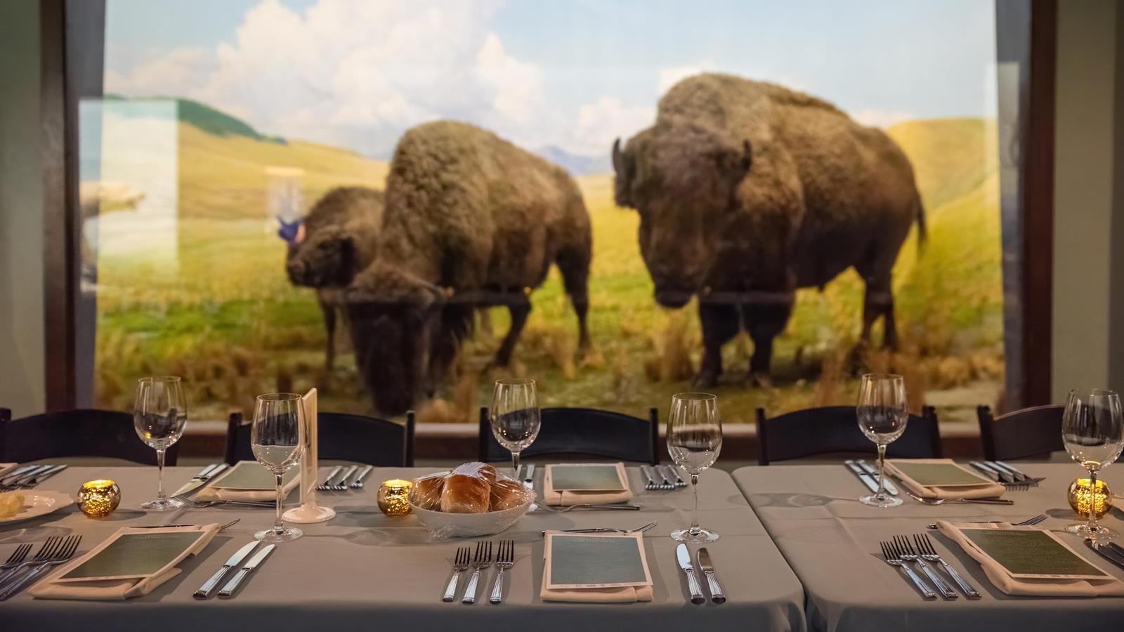 A table set-up with silverware in-front of the bison diorama.