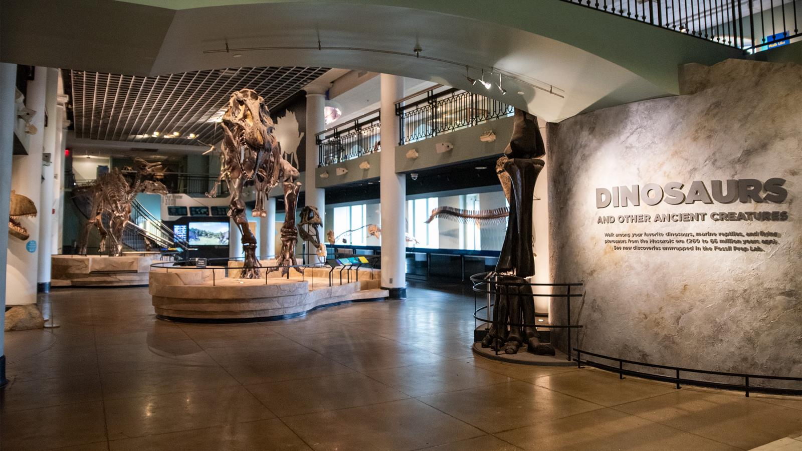 Academy of Natural Sciences of Drexel University