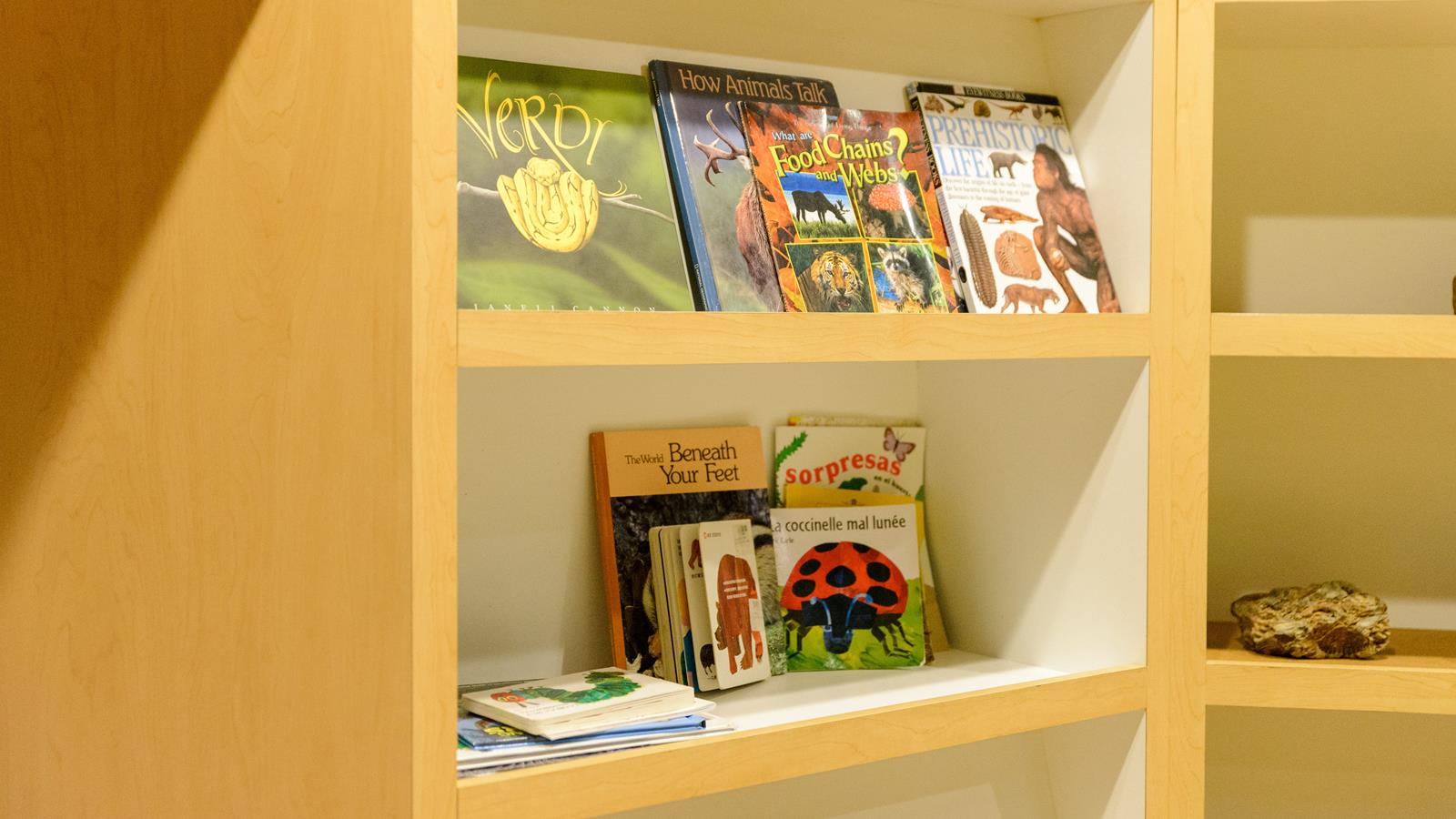 Several books on different shelves.