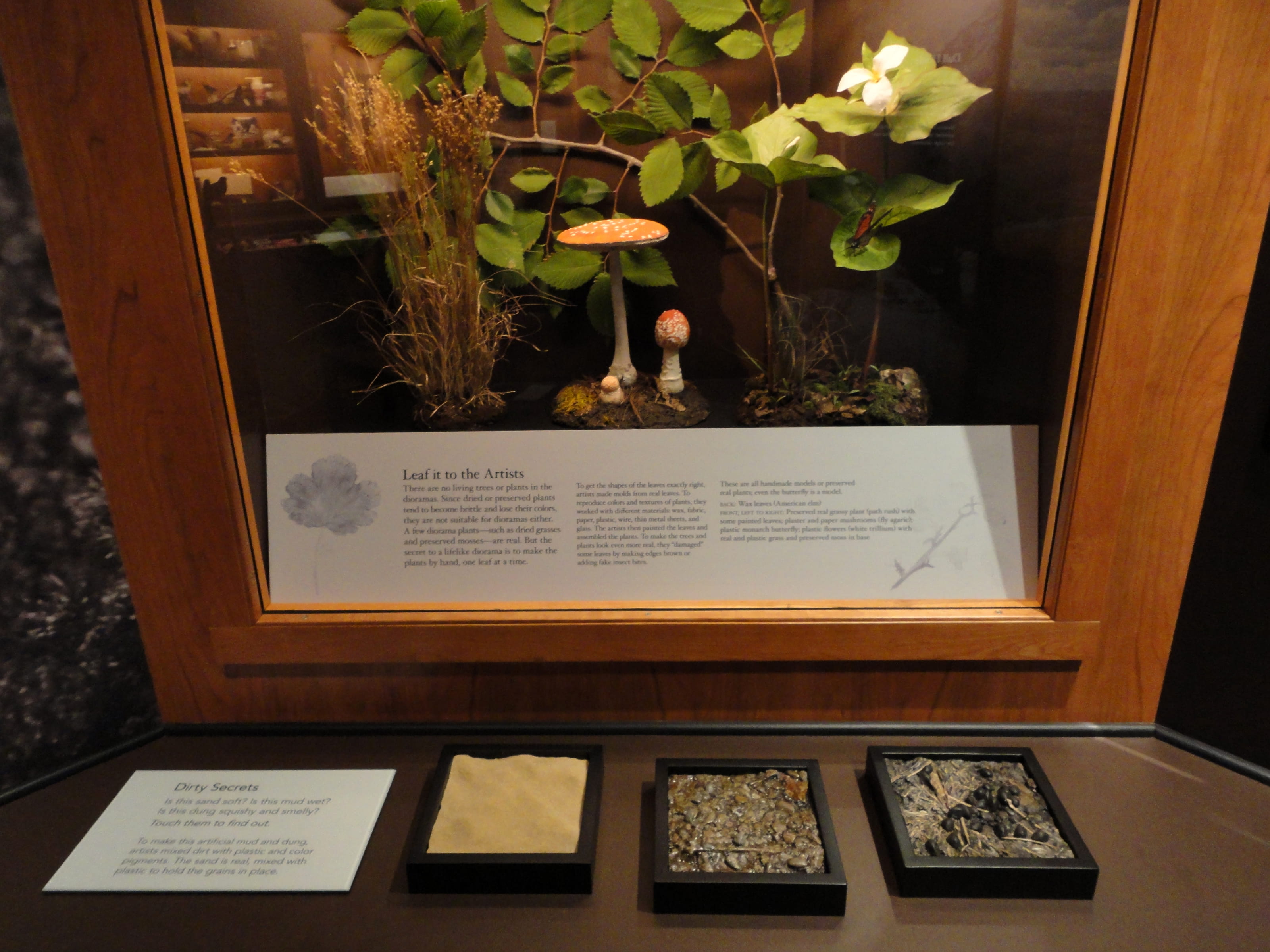 A close up of how parts of a diorama is made, with this showing plant and fungi.