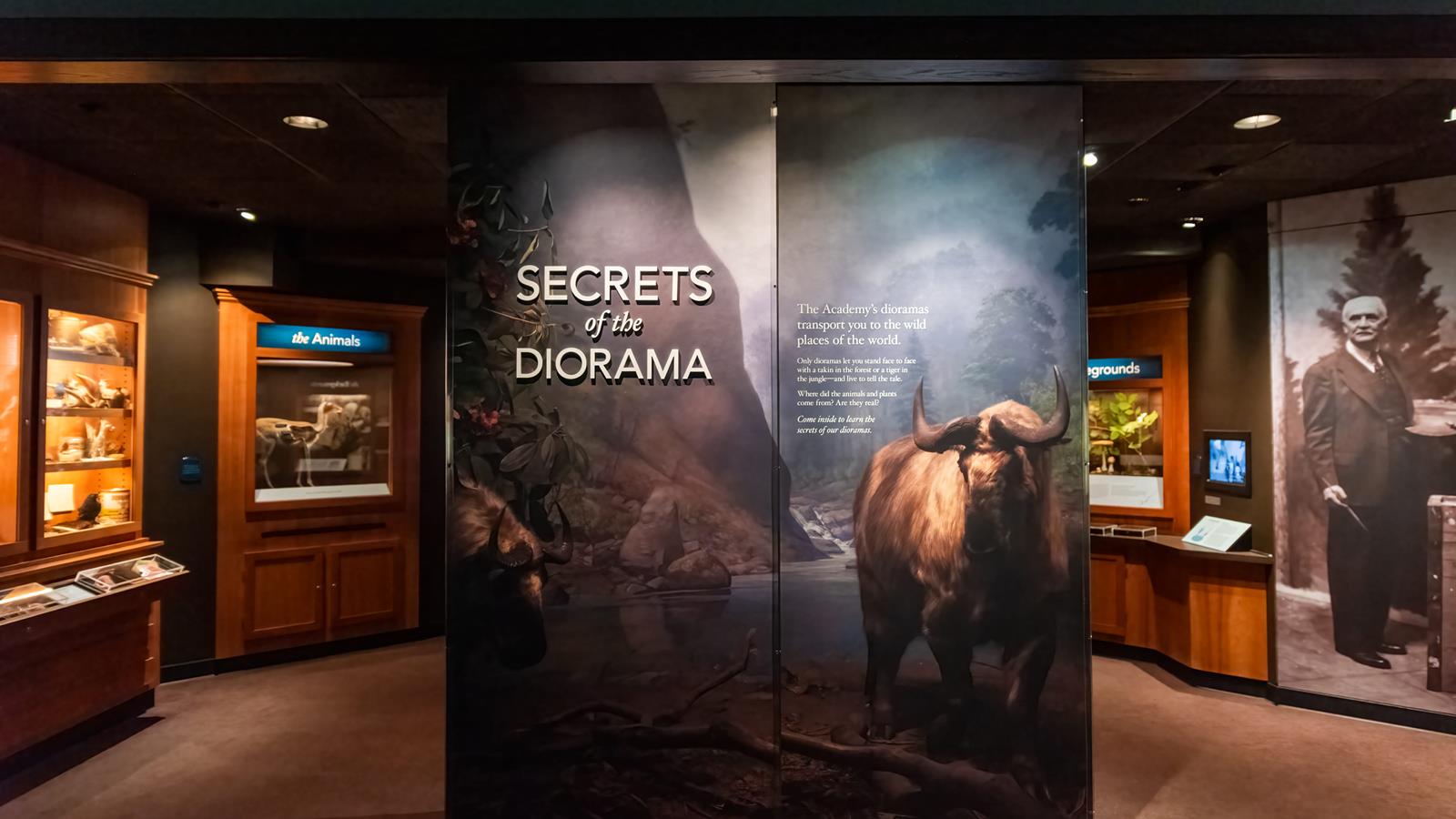 The front of the secrets of the diorama exhibit with the text "secrets of the diorama".