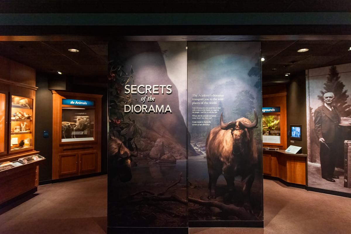 The front of the secrets of the diorama exhibit with the text "secrets of the diorama".