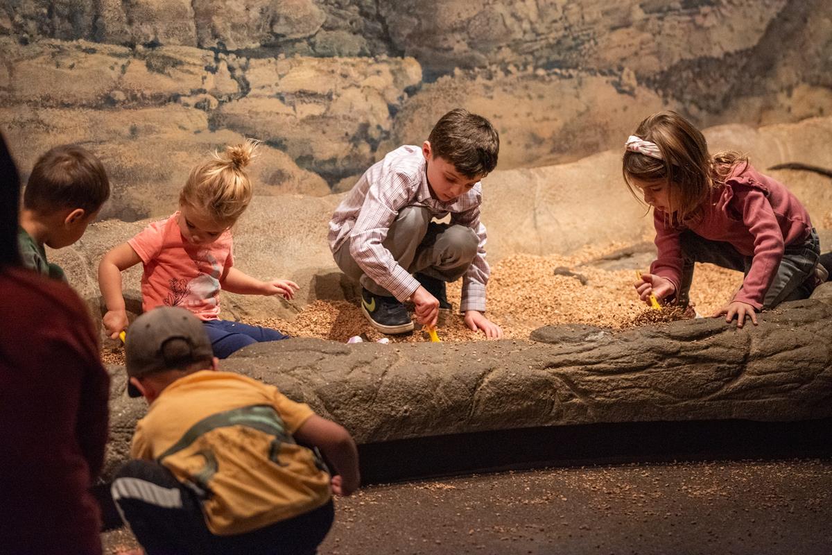 Several children play in the Big Dig