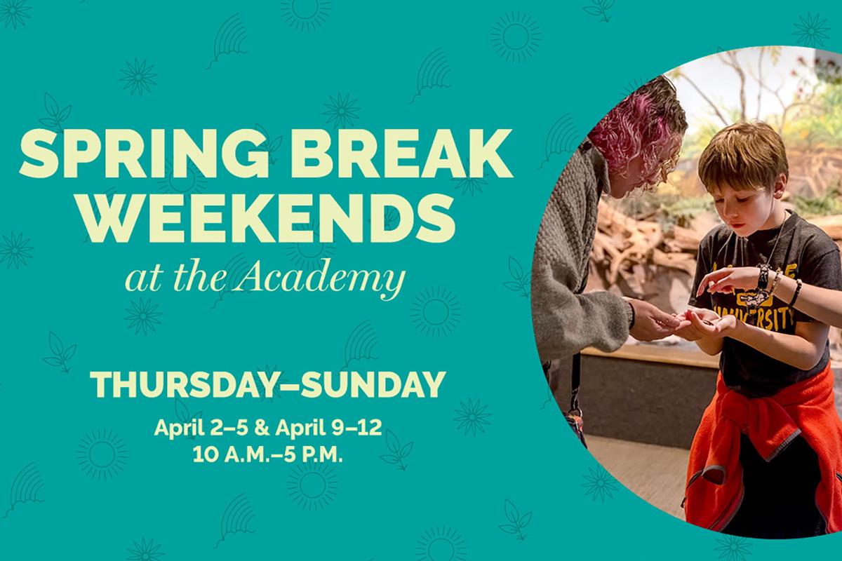 Spring break weekends at the academy.