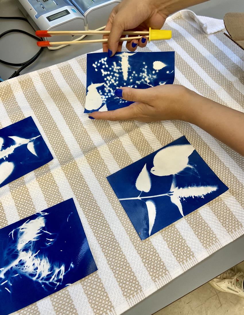 Four blue cyanotype images on a table.