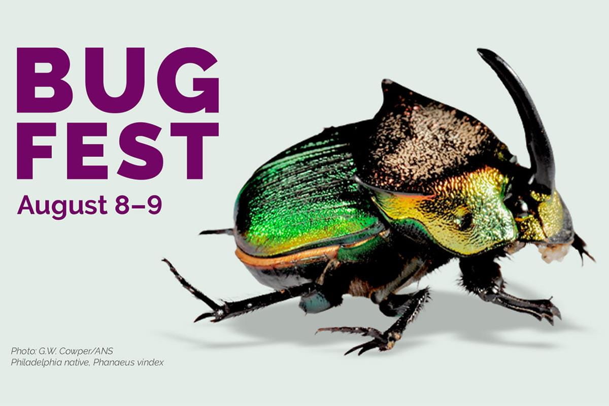 Bugfest is at the Academy of Natural Sciences August 8 through 9