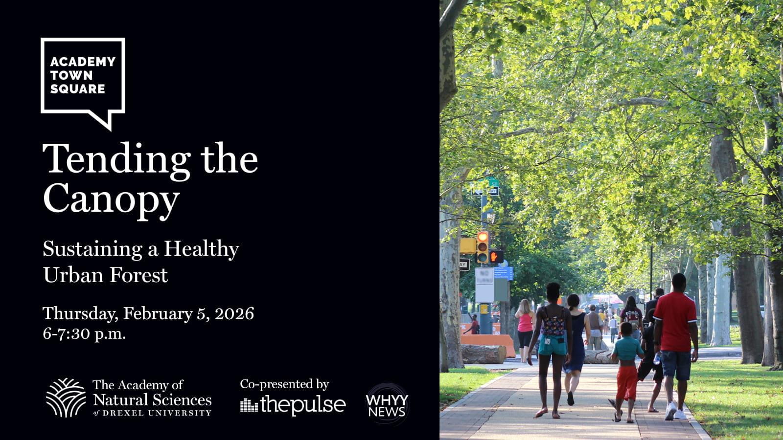 Academy Town Square Tending the Canopy