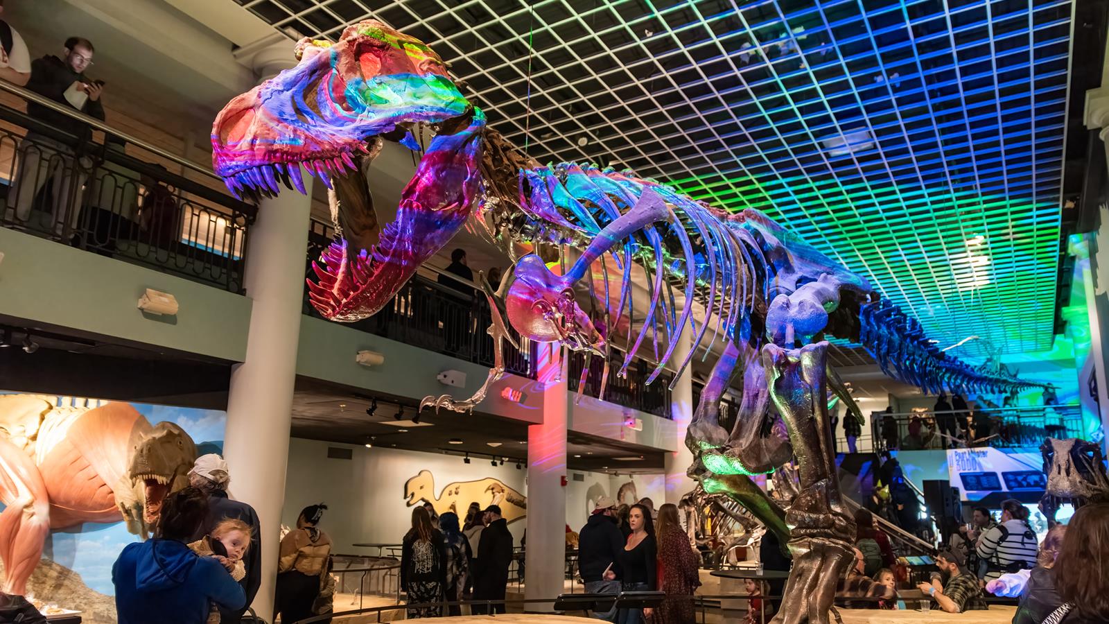 A T-rex skeleton being illuminated by pink and green lights.
