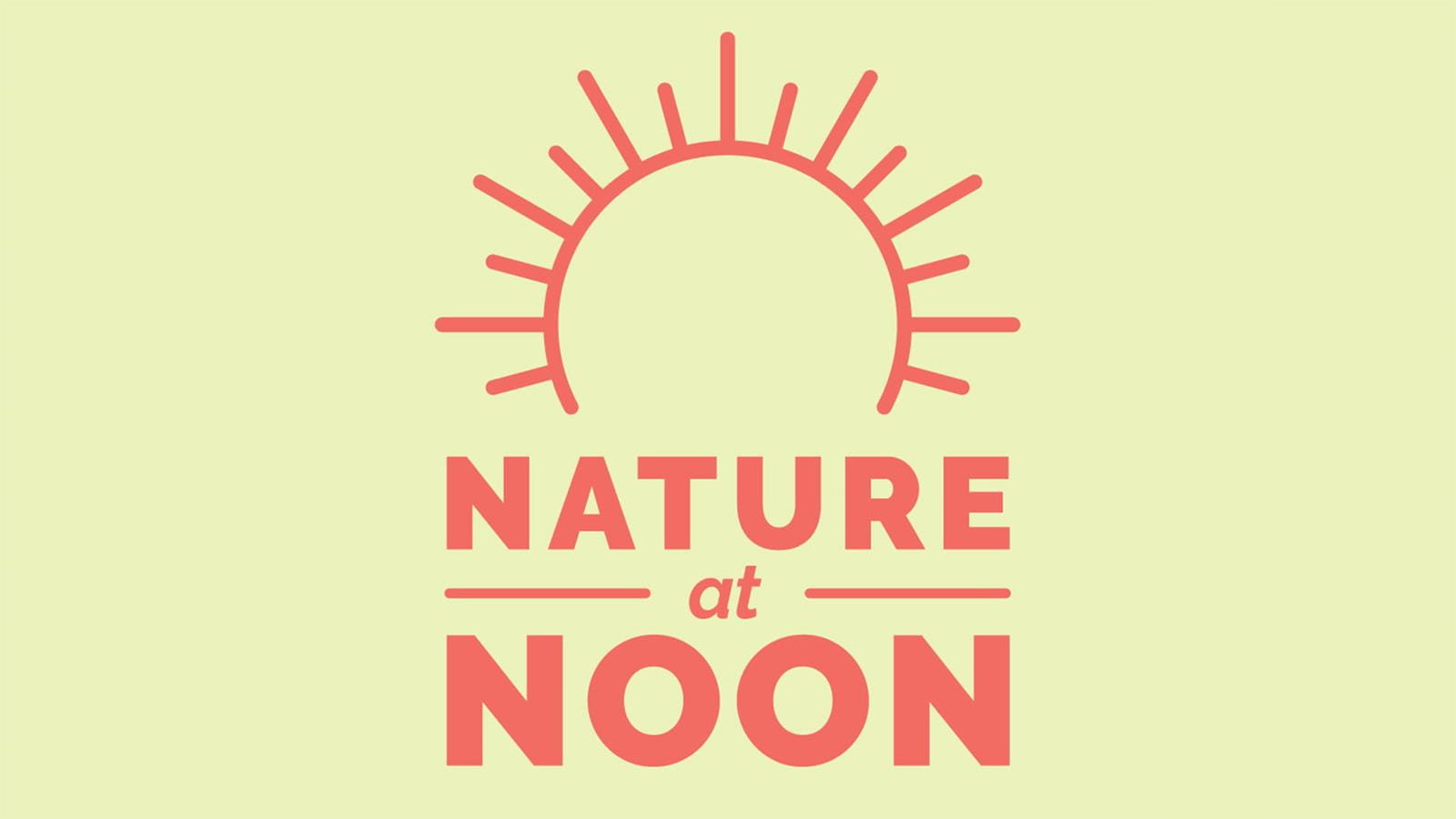 Nature at Noon