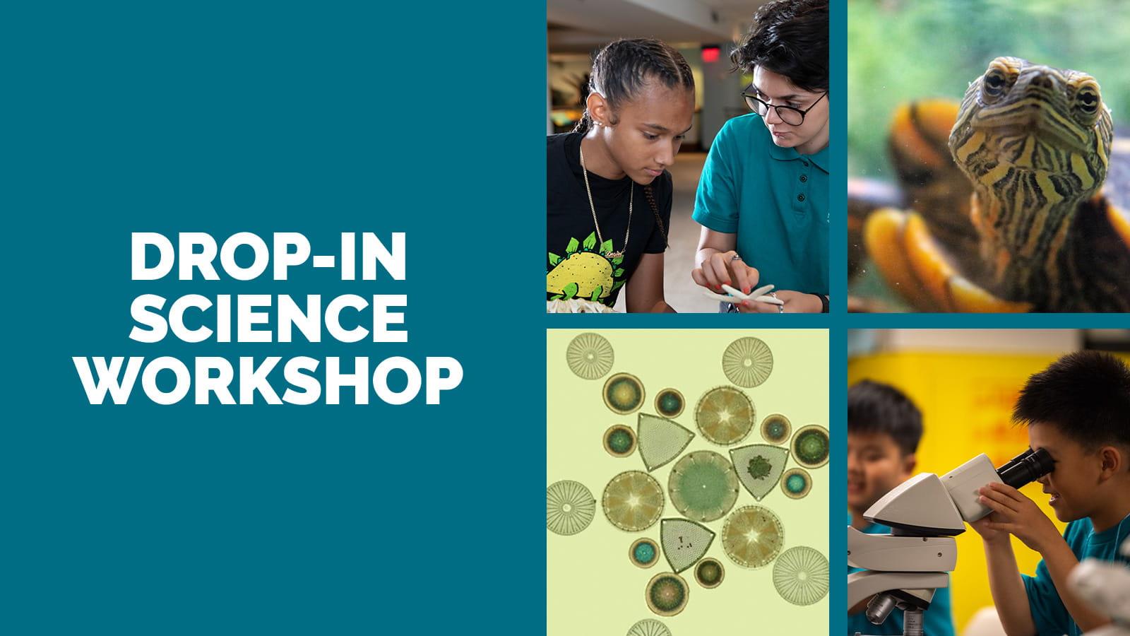 Drop-In Science Workshops