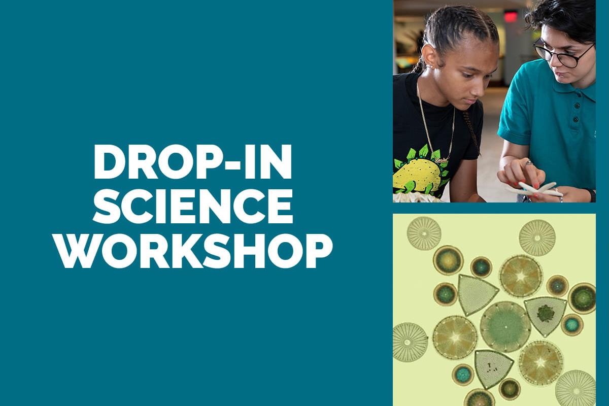 Drop-In Science Workshops