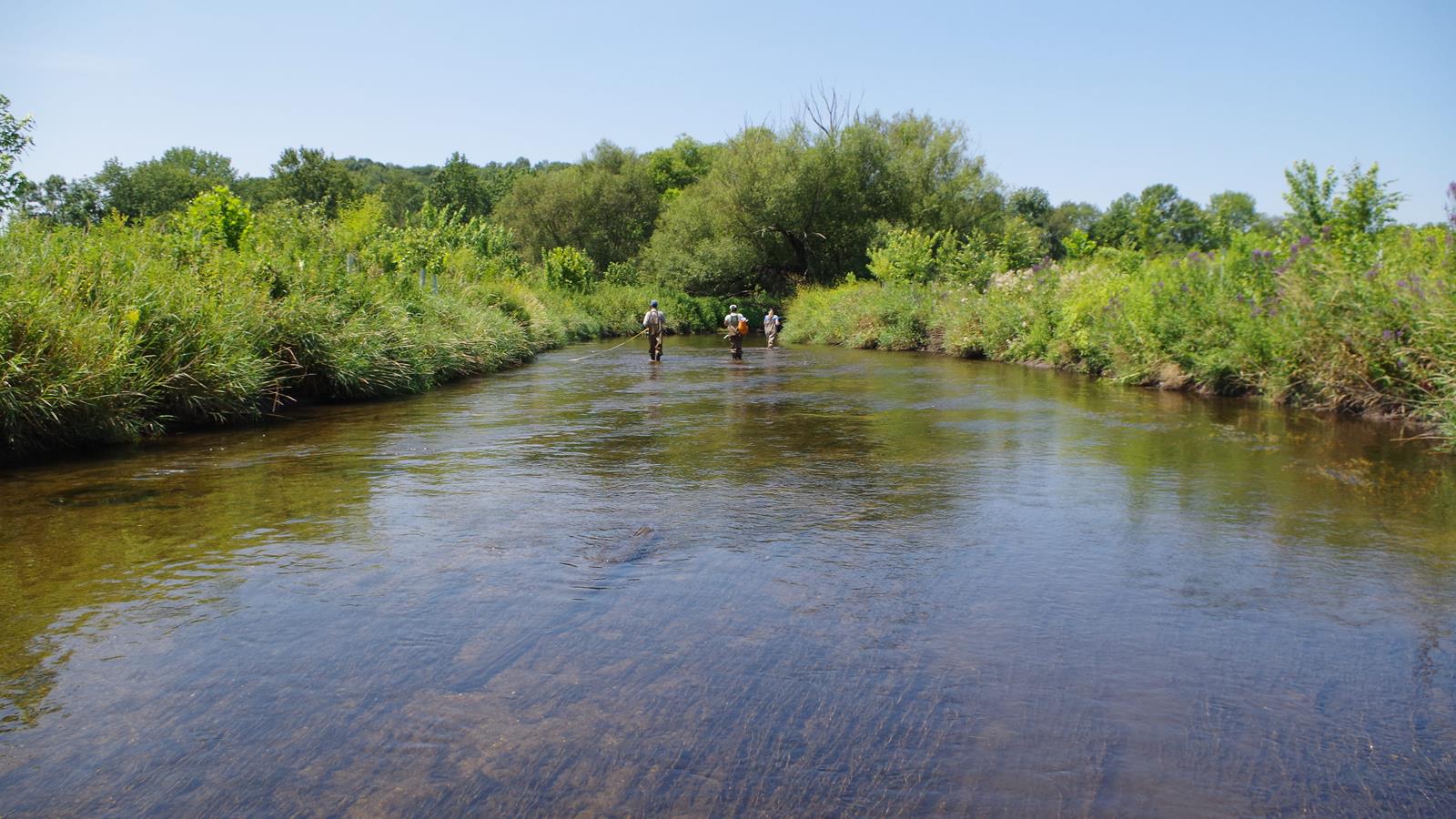 Three scientists walk through a stream.
