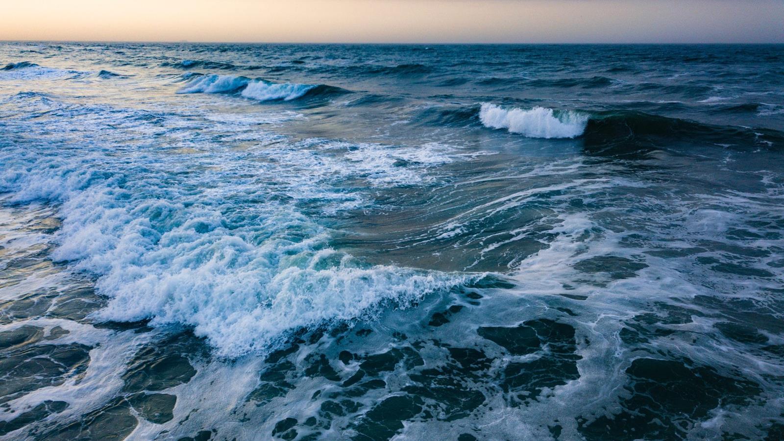 A coast with a rocky shore.