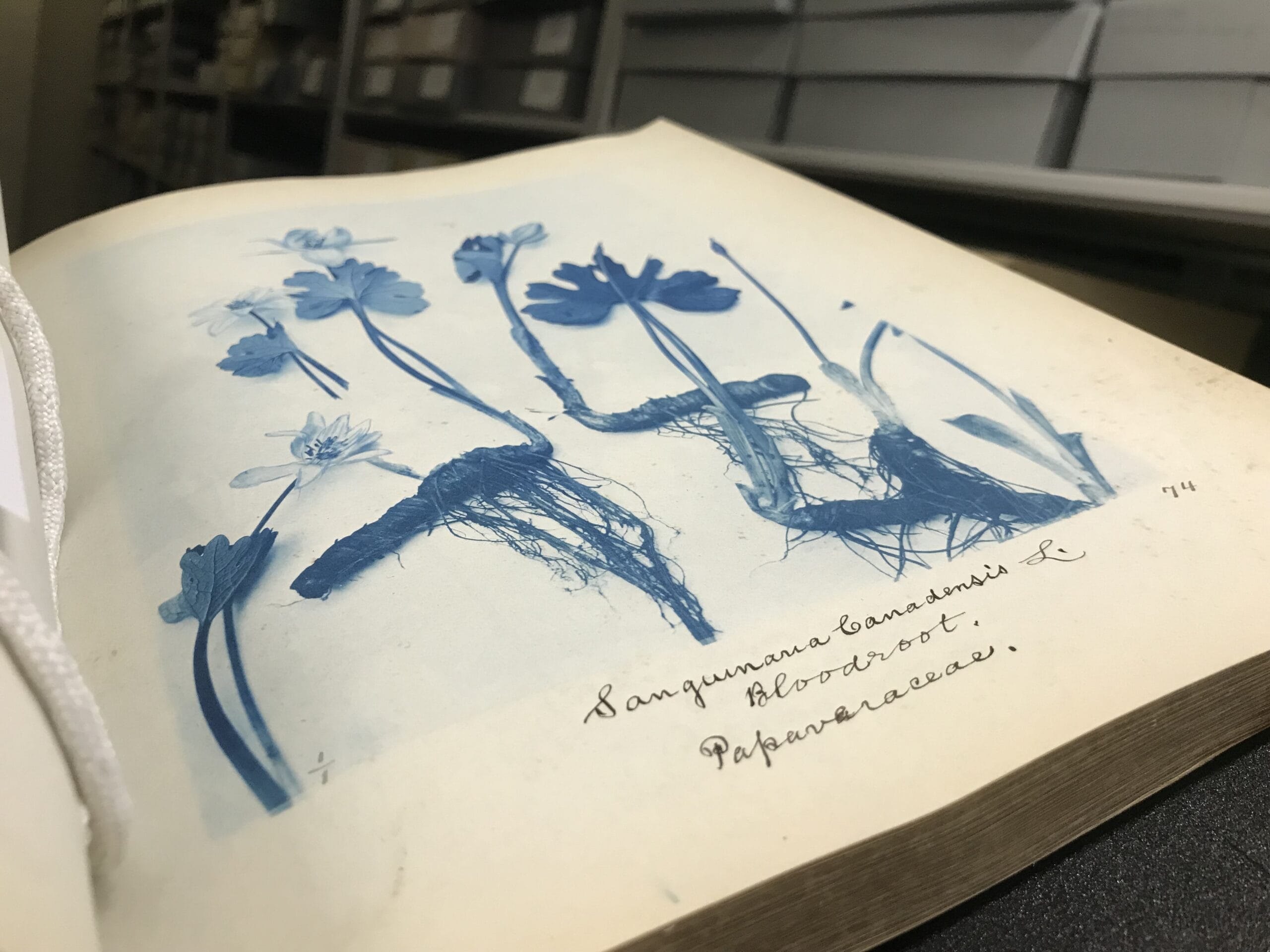 open book in front of archives