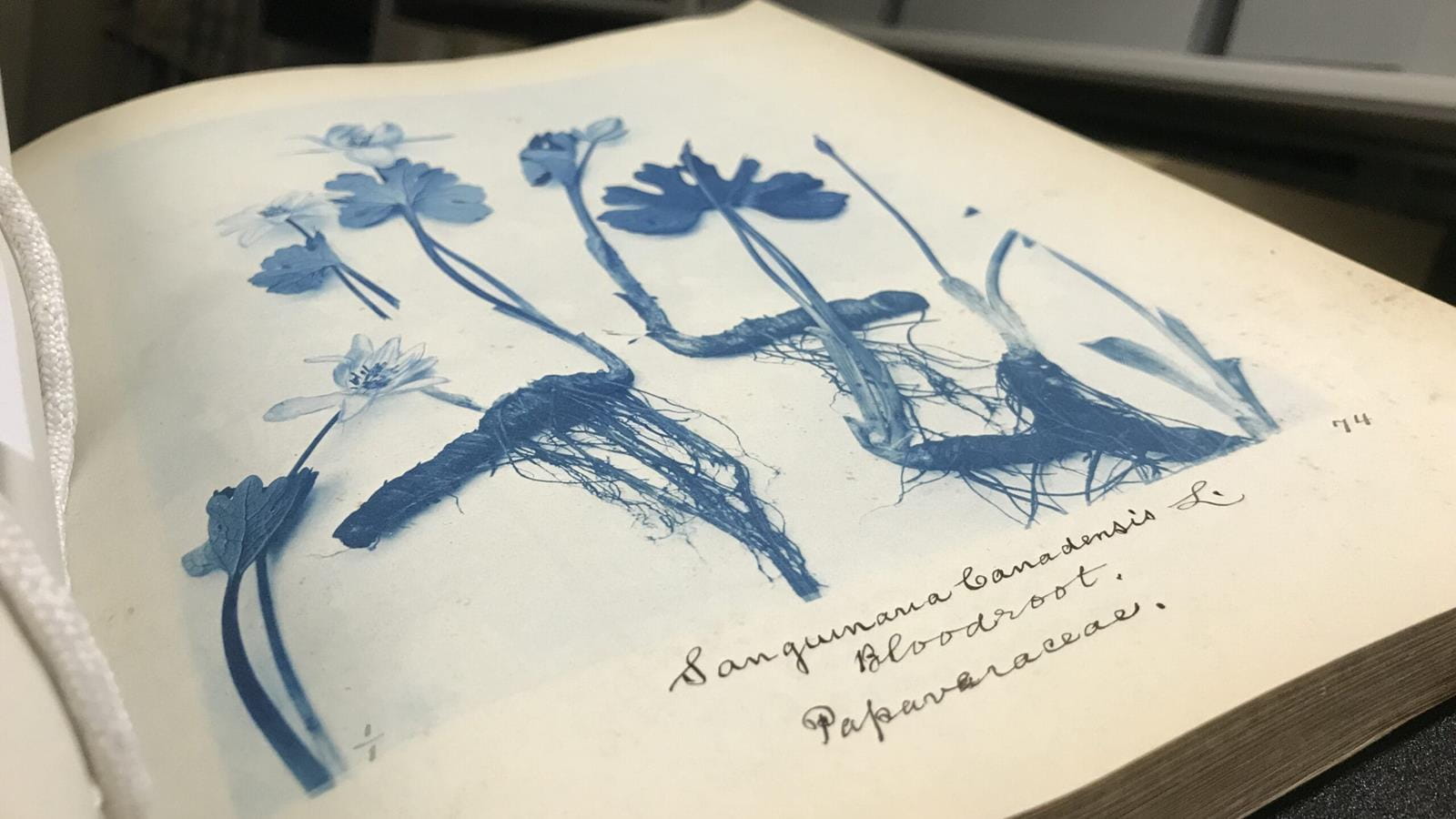 open book in front of archives