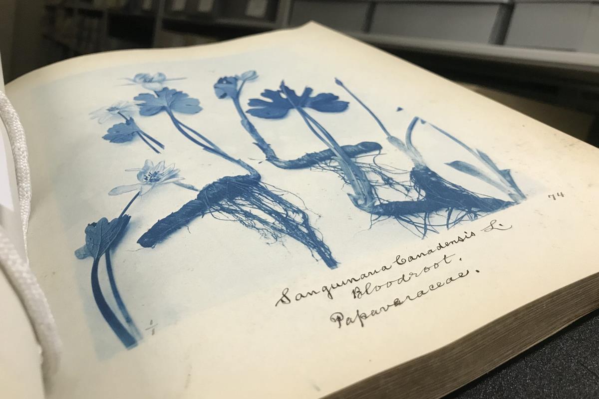 open book in front of archives