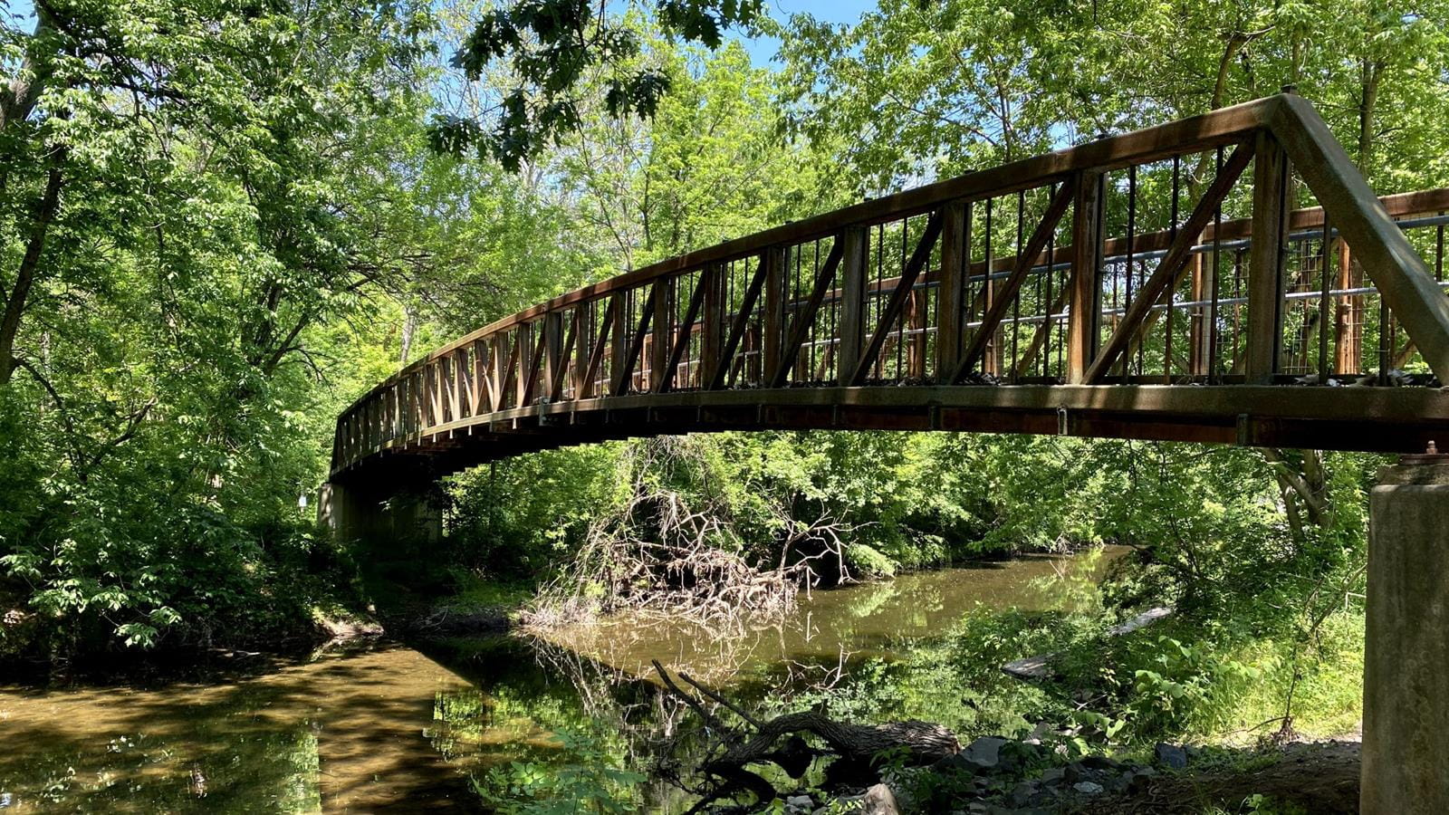 A bridge over a river in a forest.