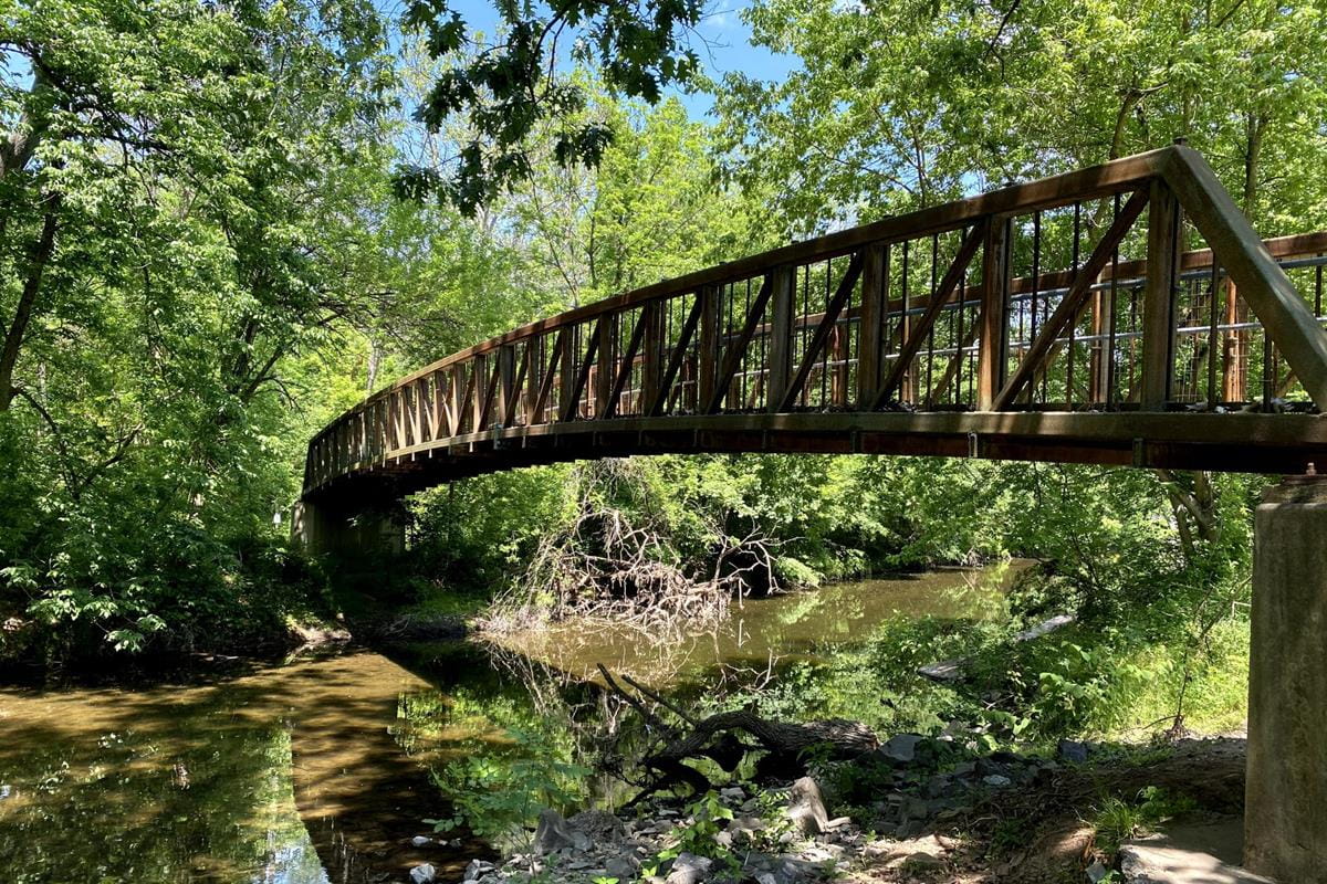 A bridge over a river in a forest.