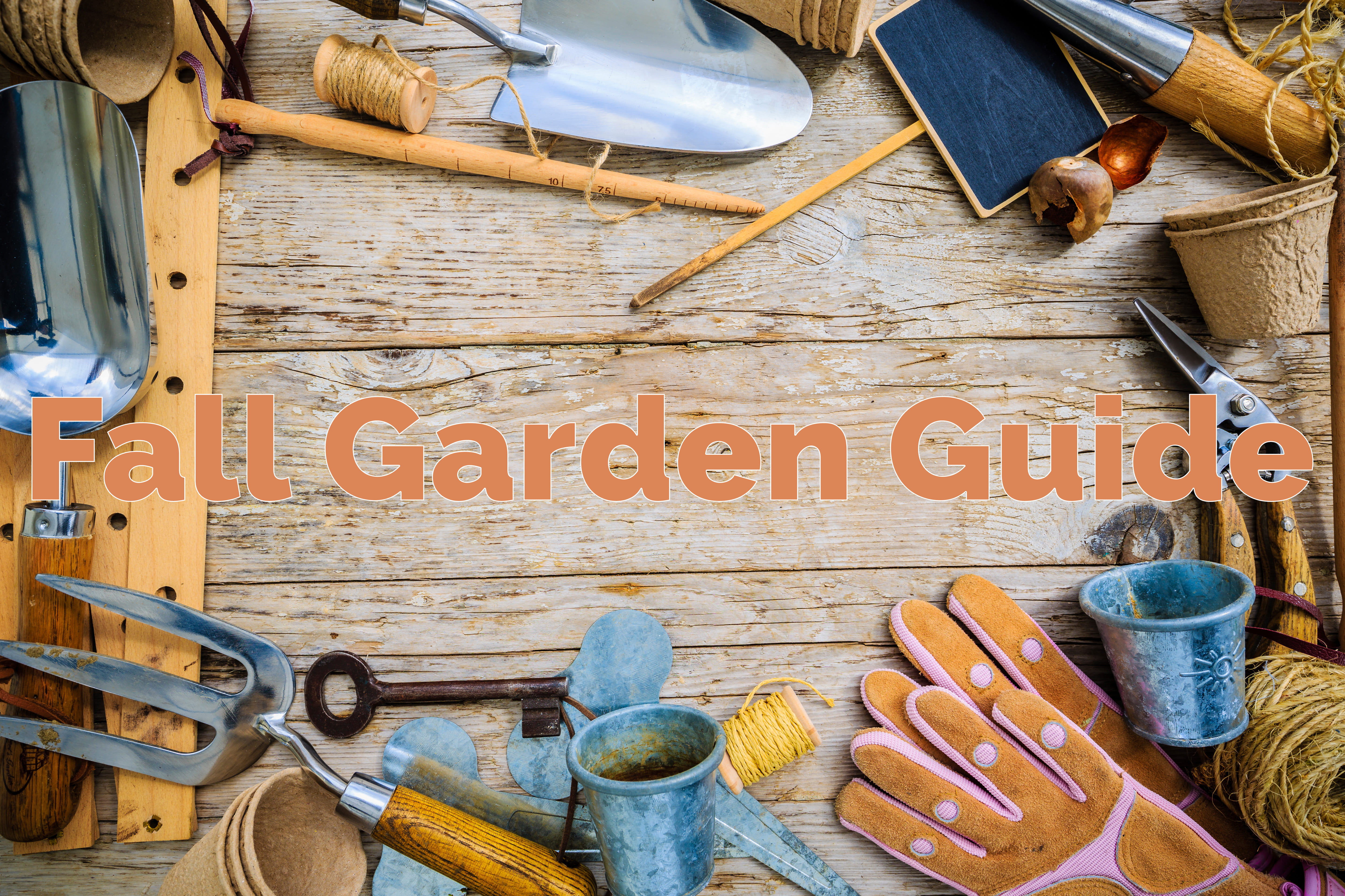 tools arranged around the words fall garden guide