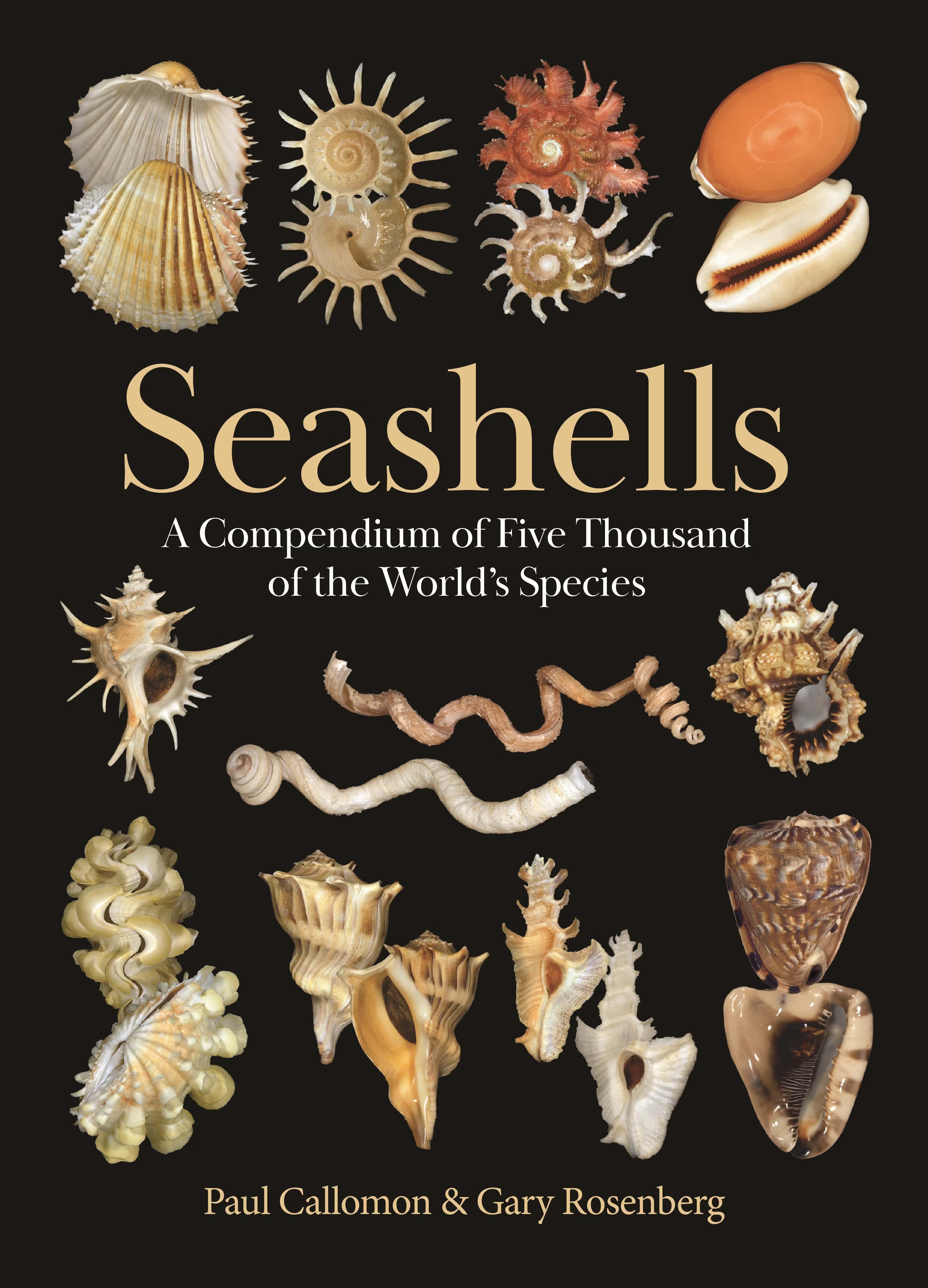Cover of book titled Seashells of the World