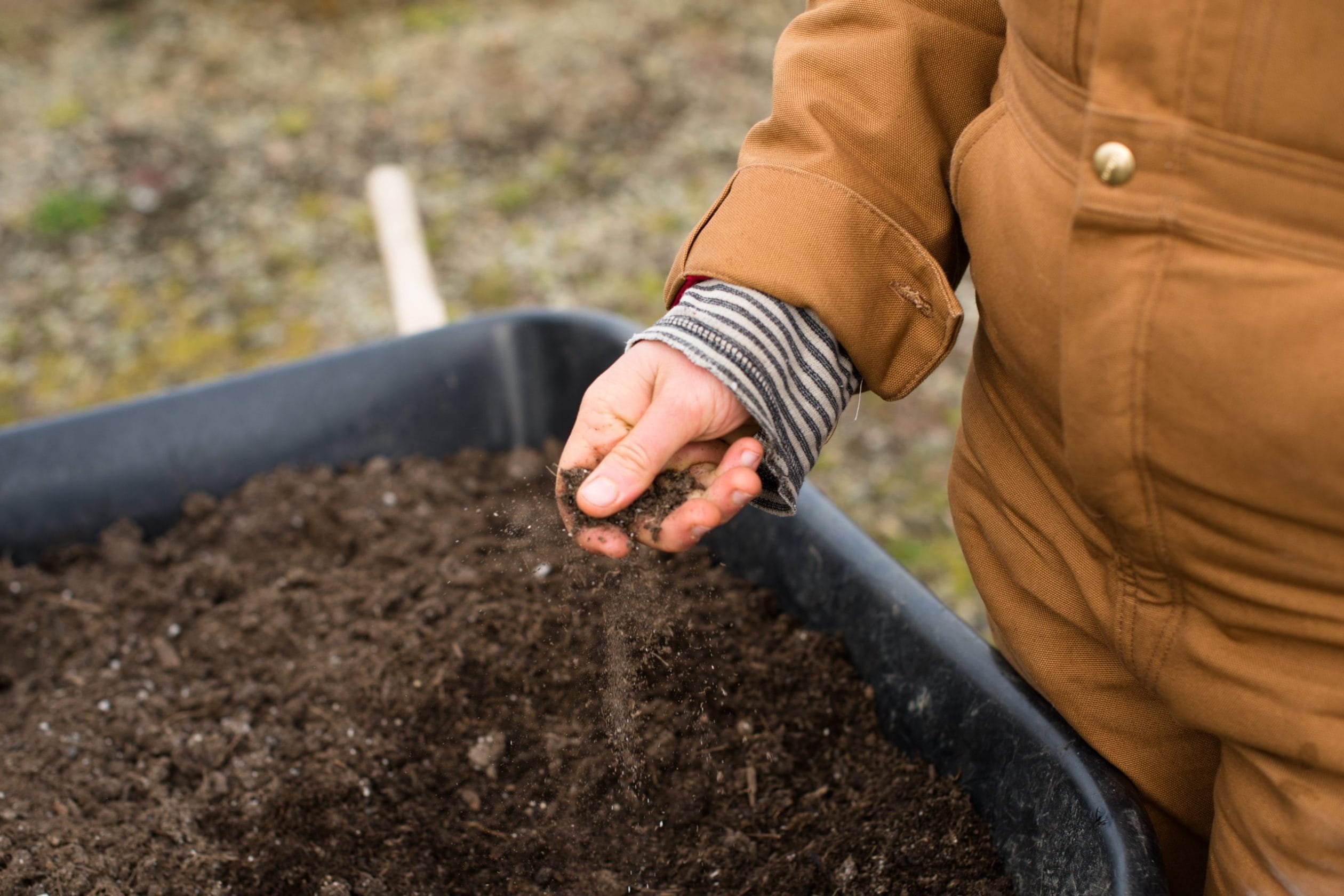 A person's hands testing soil for gardening