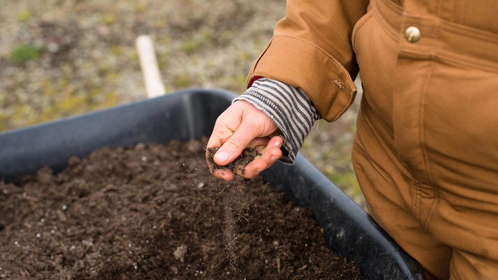 A person's hands testing soil for gardening