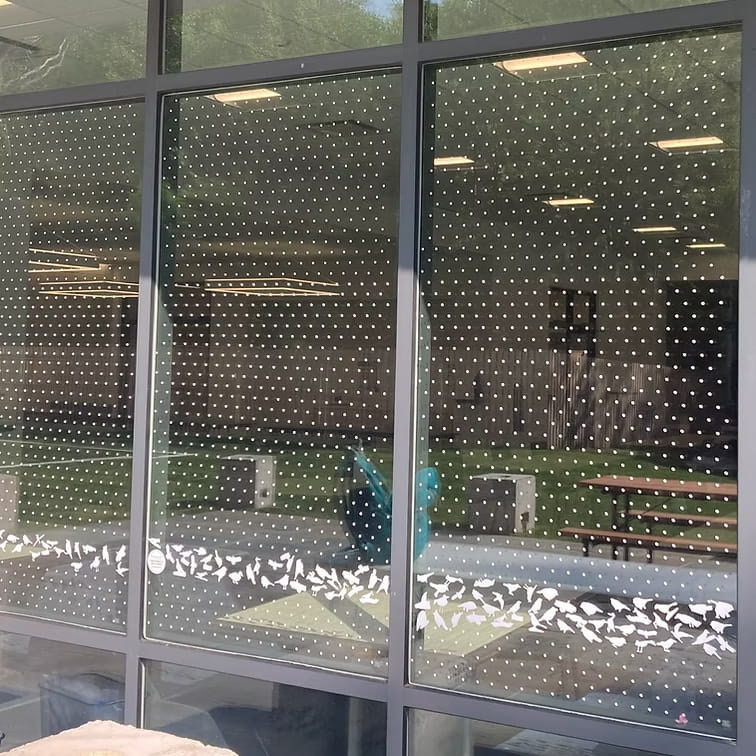bird safe glass