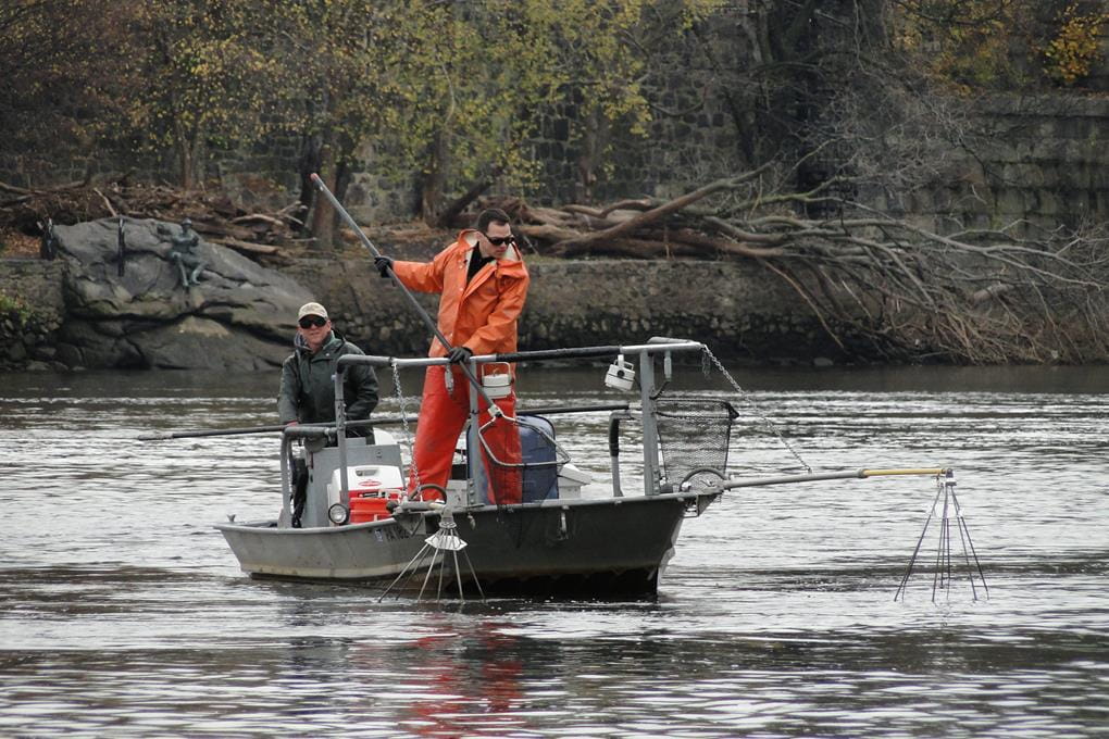 Two fisheries scientists in a boat, looking for fish.