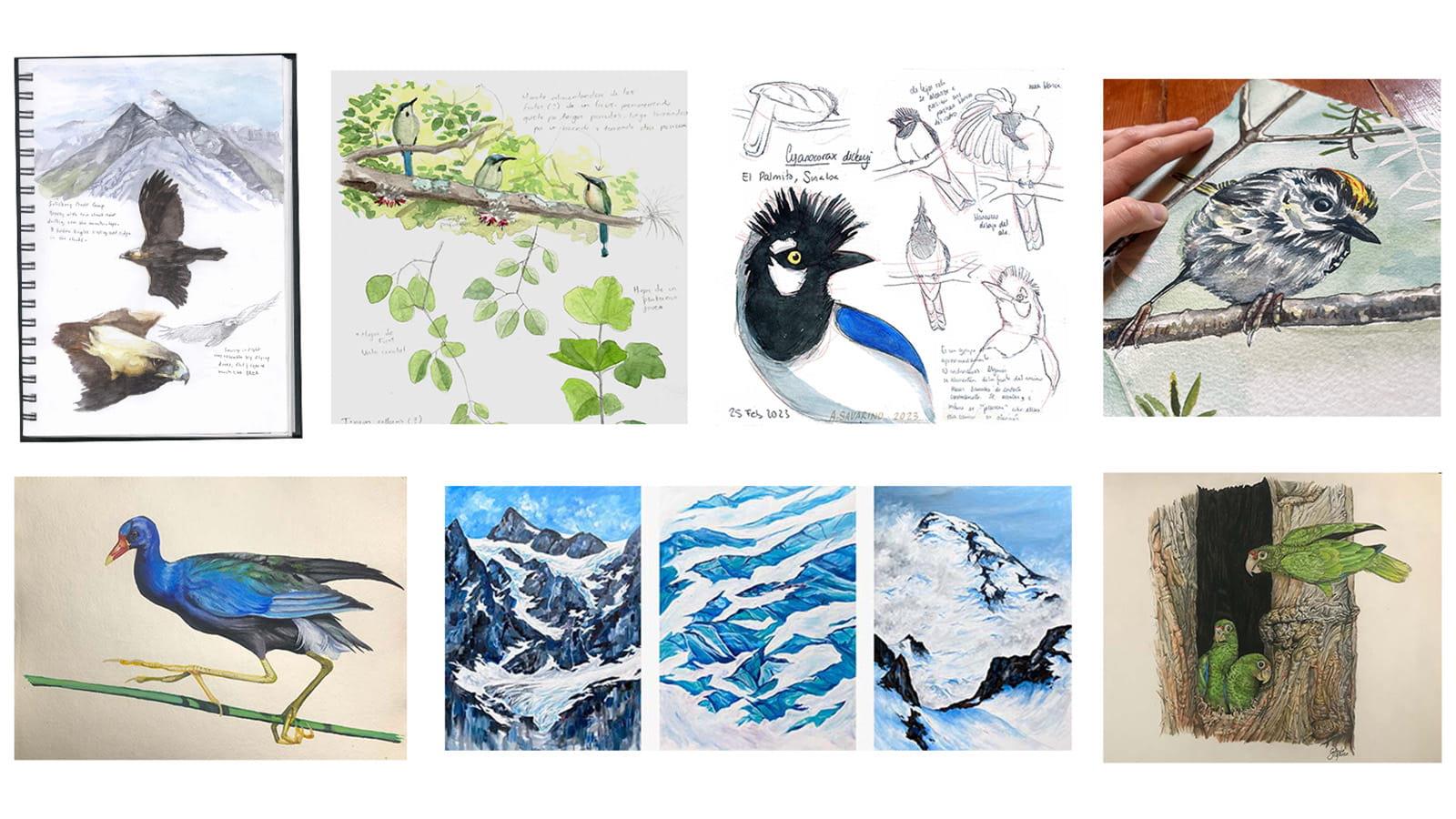 Several recipients of the eckelberry endowment's artwork.