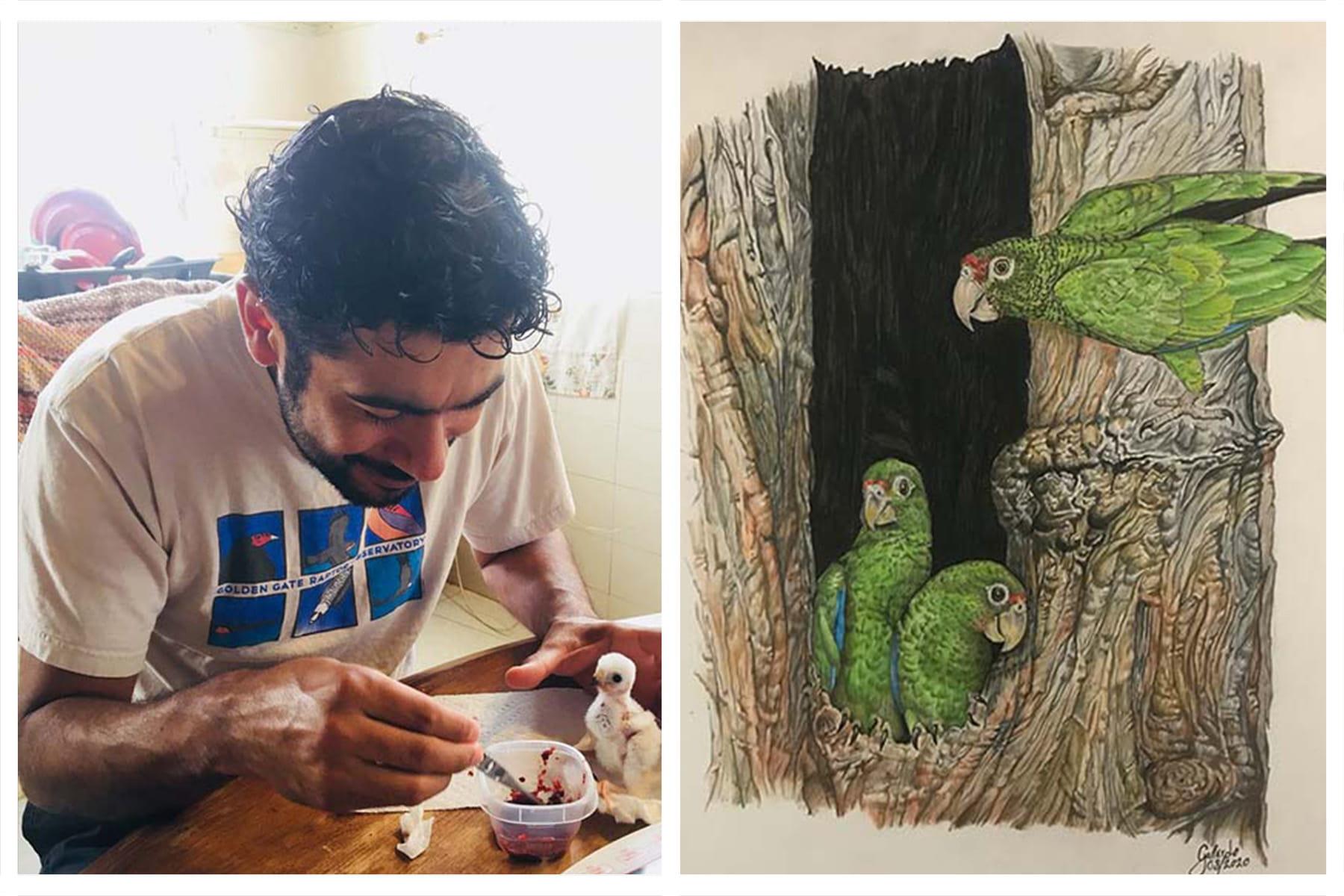 An image of eckelberry recipient, Julio Gallardo, and his watercolor of green parrots in a tree.