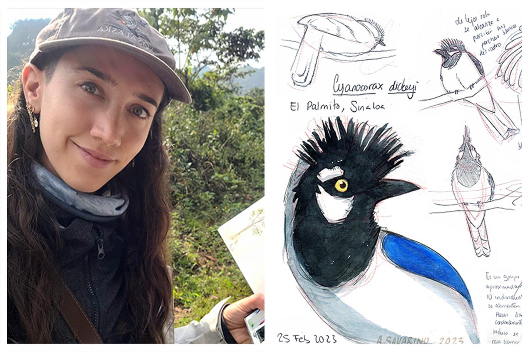 An image of eckelberry recipient, Annamaria Savarino Drago, and their sketches of a Cyanocorax dickeyi.