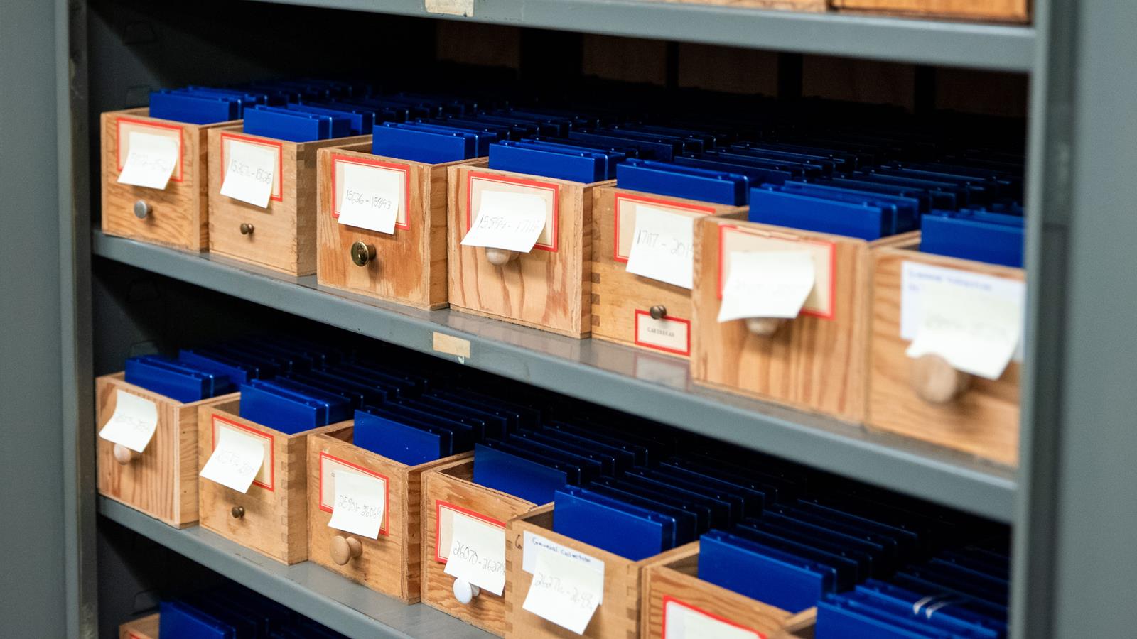 Several collection boxes housed at the Academy of Natural Sciences.