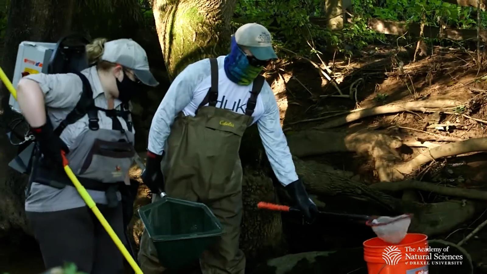 Academy scientists in the kirkwood preserve