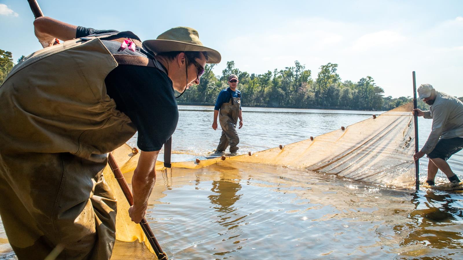 Several fisheries scientists move a net through a river.