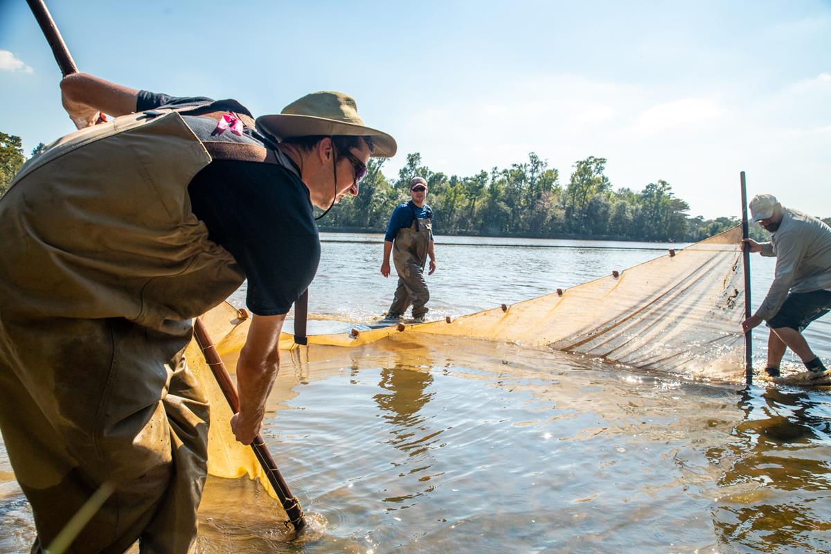 Several fisheries scientists move a net through a river.