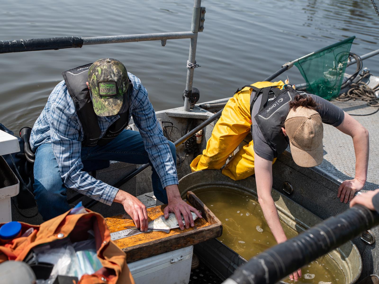 Two Academy scientists preparing fish for collection.