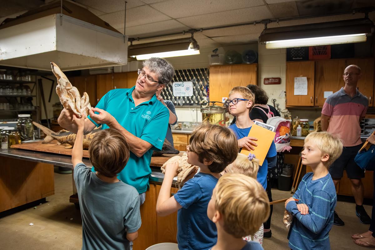 An academy scientist showing off a shark skull to members.