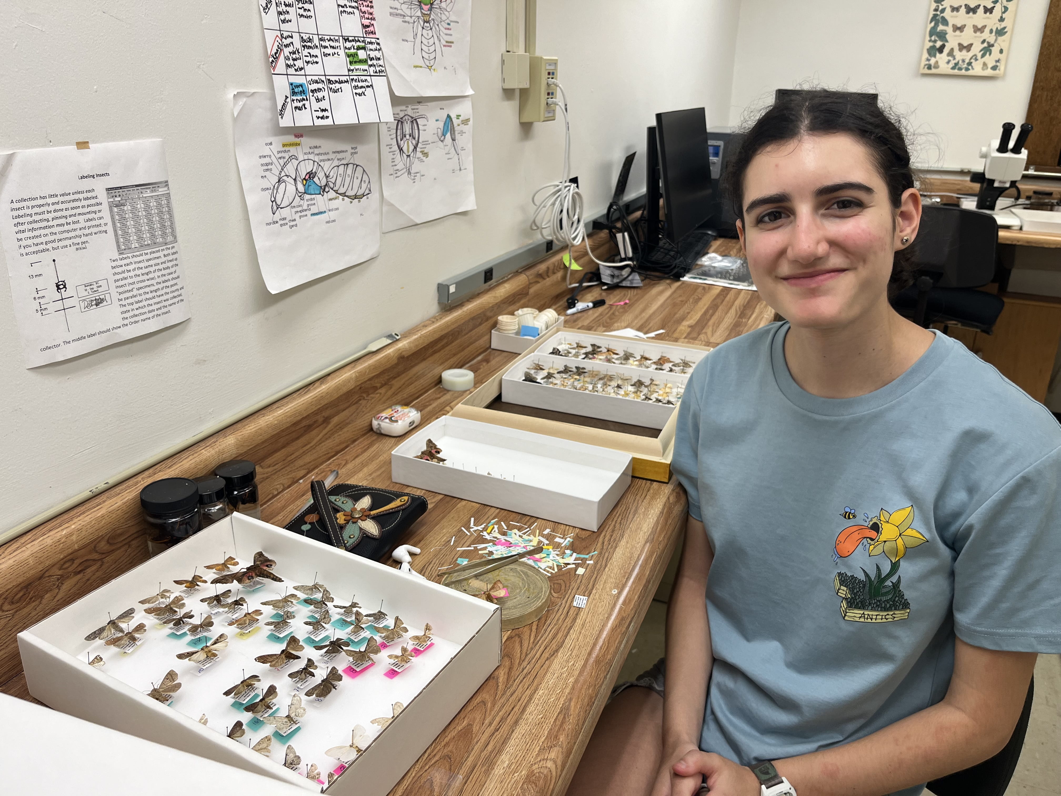 A volunteer posing for a photo next to pinned insects.