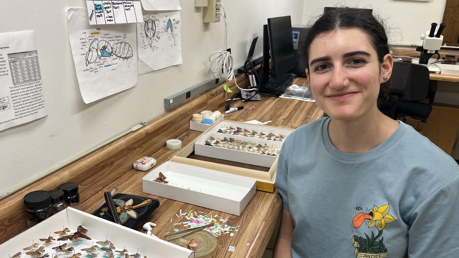 A volunteer posing for a photo next to pinned insects.