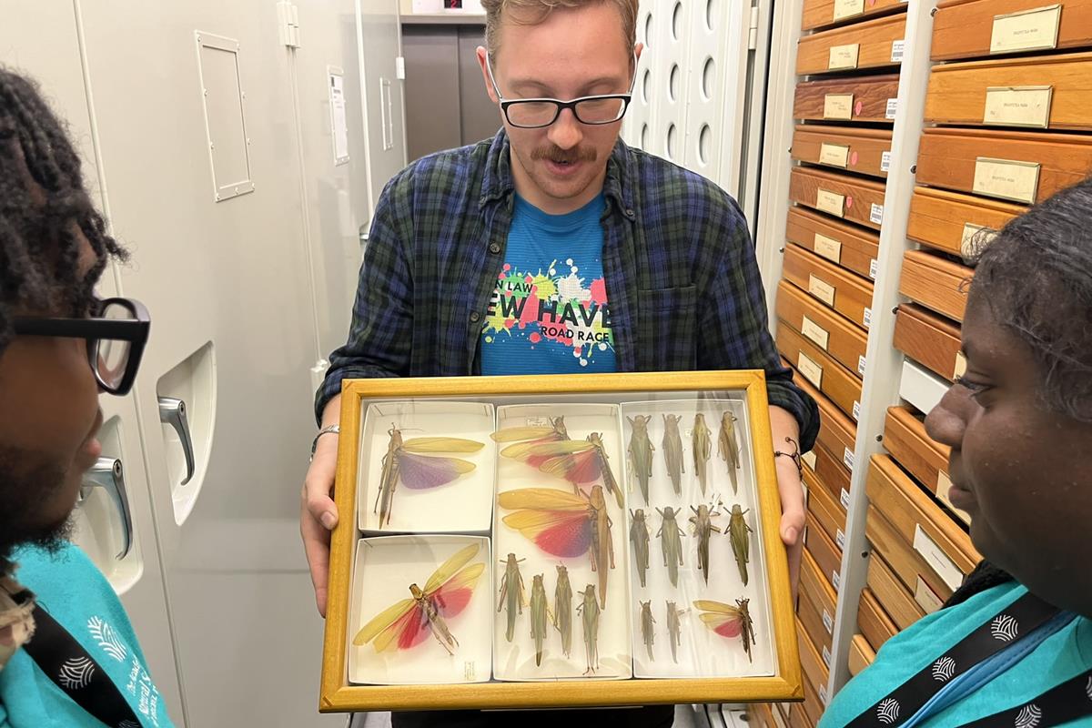 A staff member showing off specimens to volunteers.