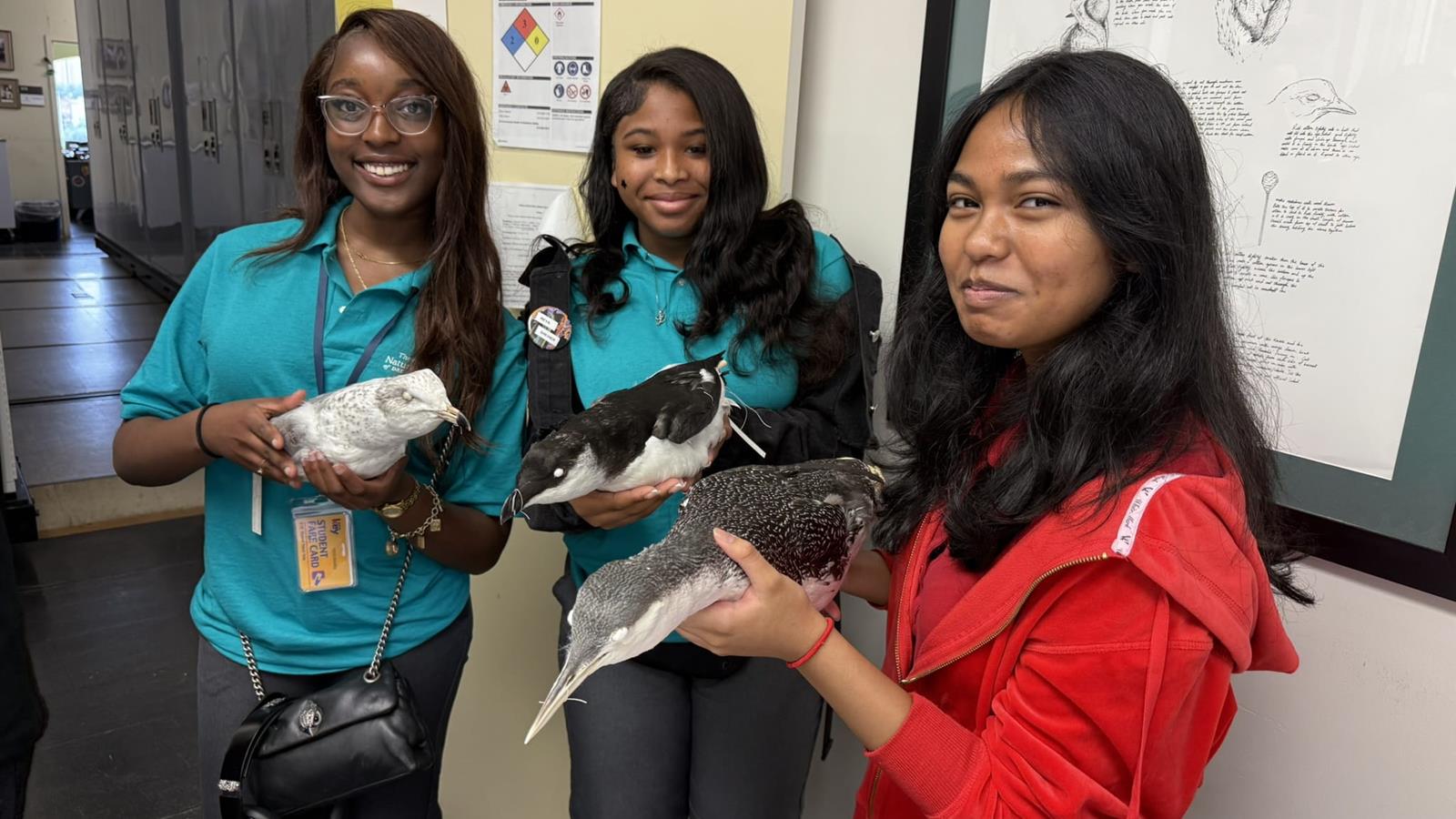 Three volunteers holding specimens. 