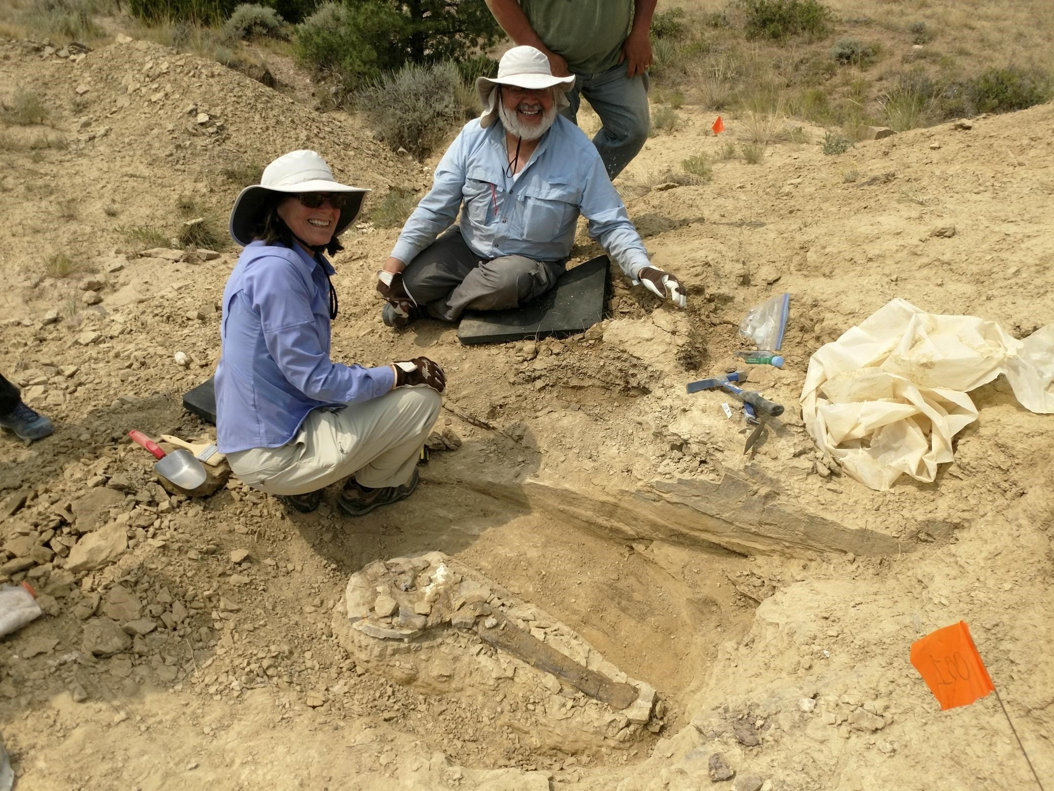 Two academy members looking for fossils in montana.