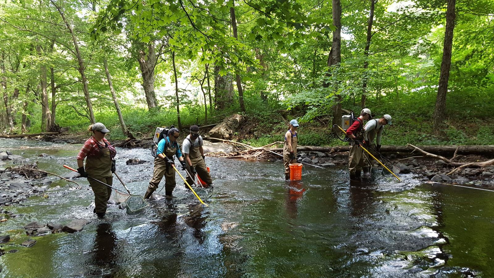 Six scientists in a river collecting specimens.