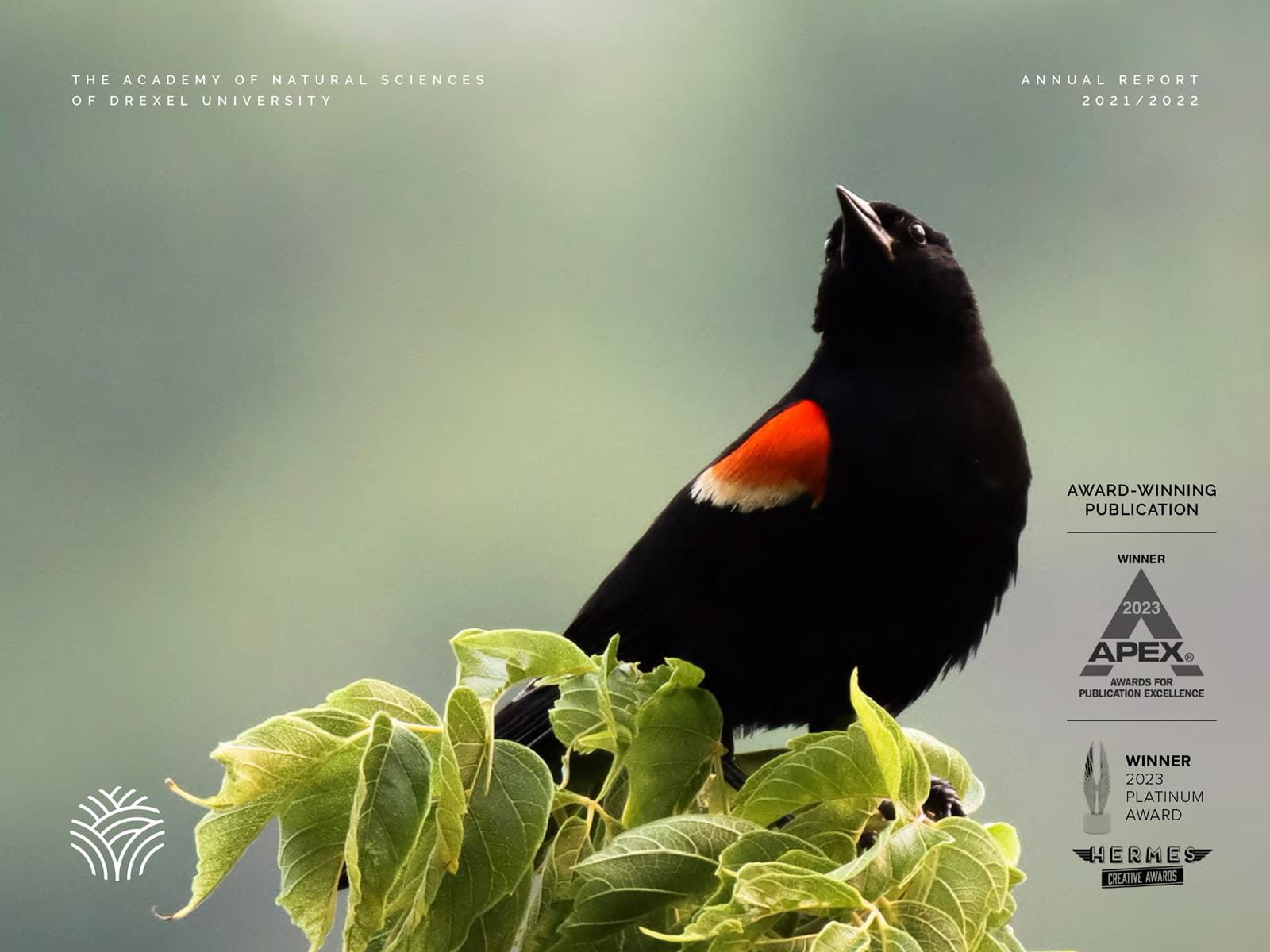 Annual Report 2021-2022